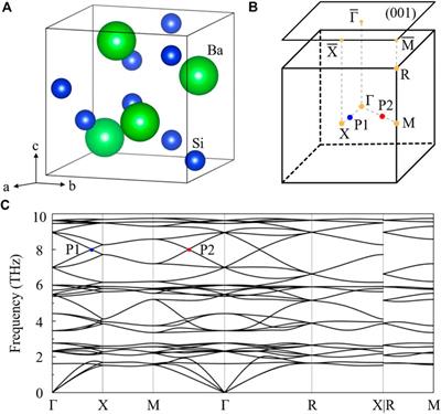 Multiple Weyl and double-Weyl points in the phonon dispersion of P4332 BaSi2